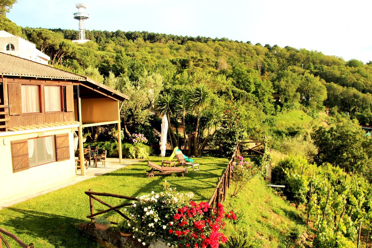 فيلا سورينتوفي Chalet Annie المظهر الخارجي الصورة